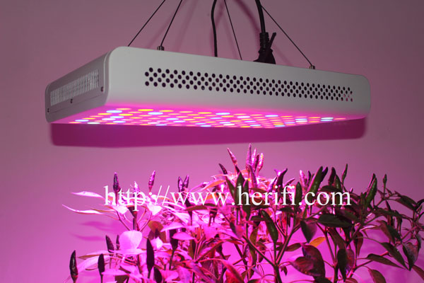 led grow lights